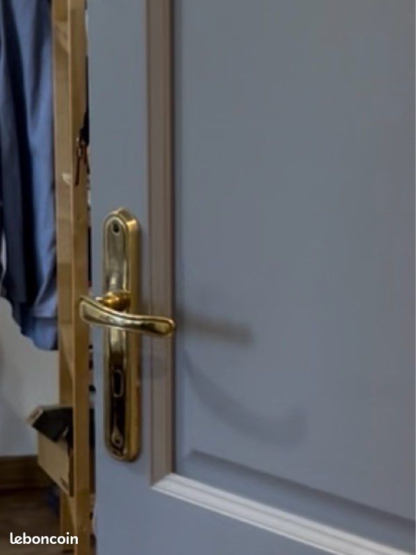 Poignée de porte dorée (image 4)