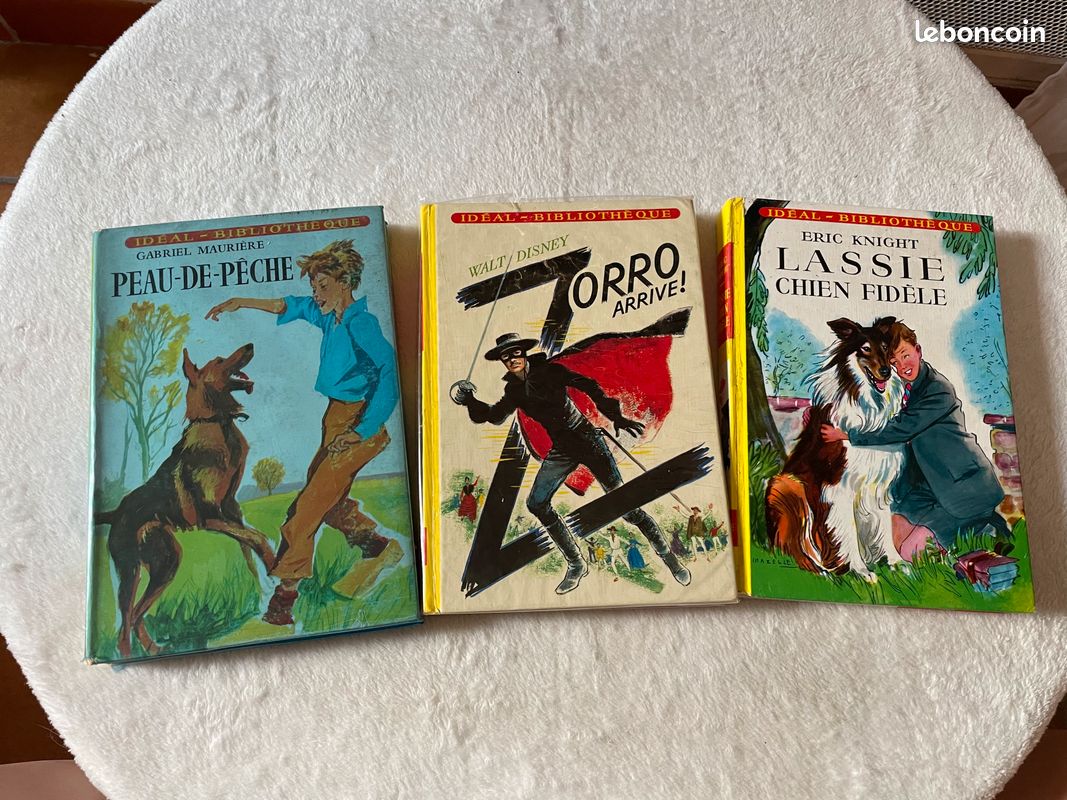 Livres pour ado (image 1)