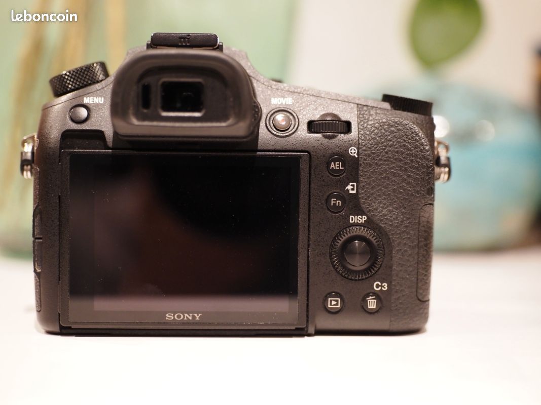 Sony Rx10 mark IV (image 6)