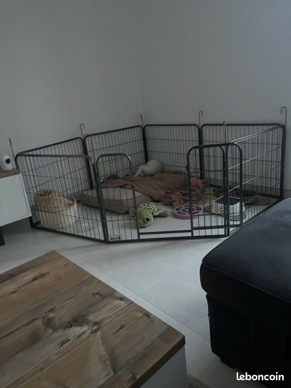 Parc chien / chiot (image 1)