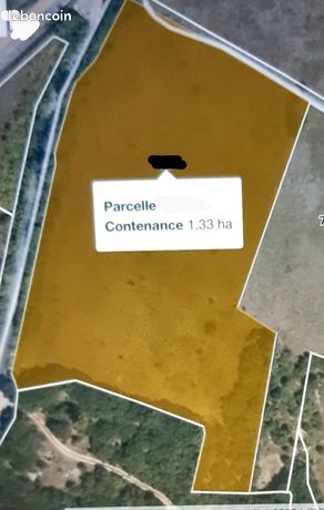 Parcelle de vigne nue