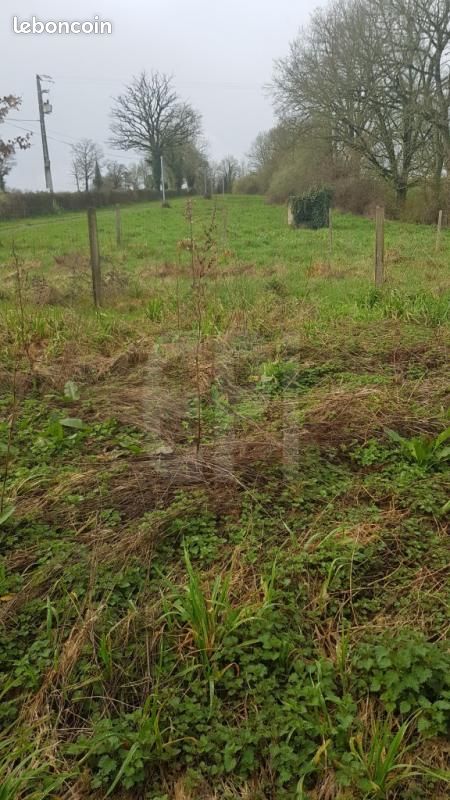 Ferme 5 pièces 145 m² - Moncoutant-sur-Sèvre 79240 La Chapelle-Saint-Étienne (image principale 11)