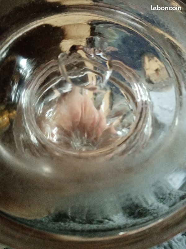 Lampe baccarat (image 6)