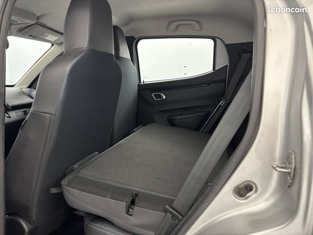 DACIA Spring Achat Intégral Business 2020 (image 29)