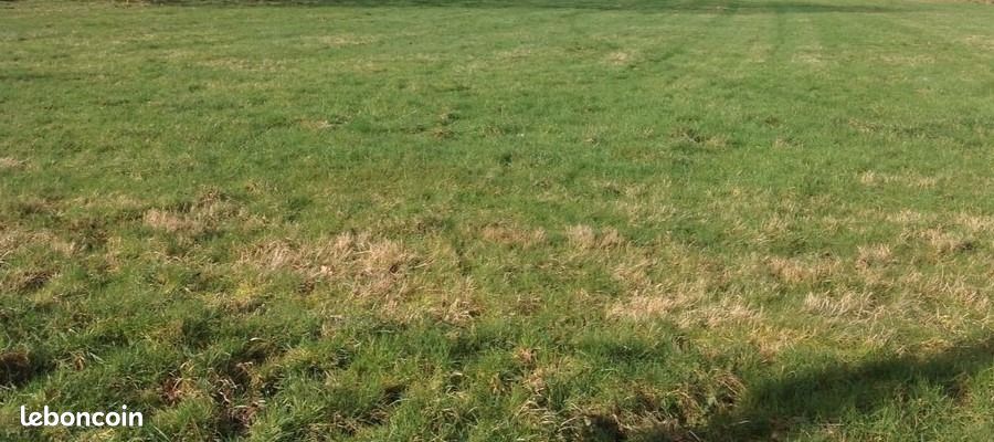 Terrain 360 m² Moulins La Marche · à Moulins-la-Marche · 15 500 €