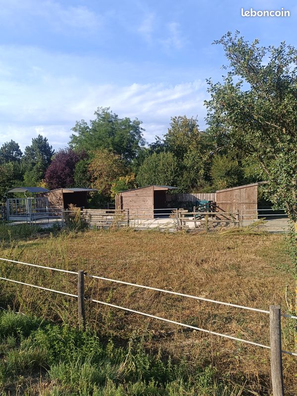 Location petite écurie · à Gommersdorf · 500 €/mois