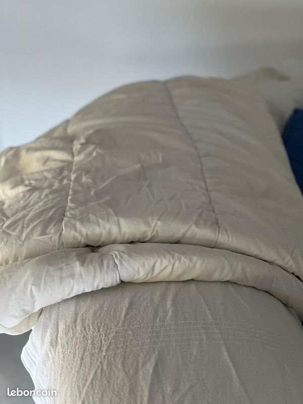 Couette 1 personne à débattre (image 1)