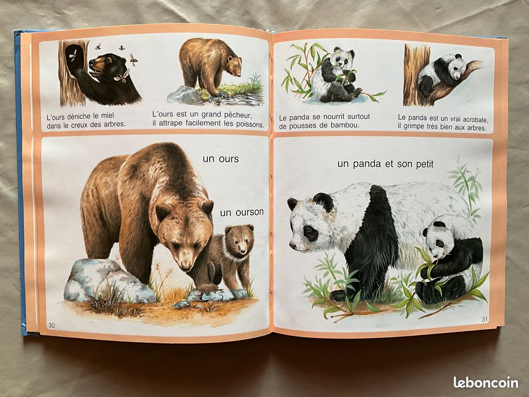 Lot de 2 imagiers enfants (image 2)