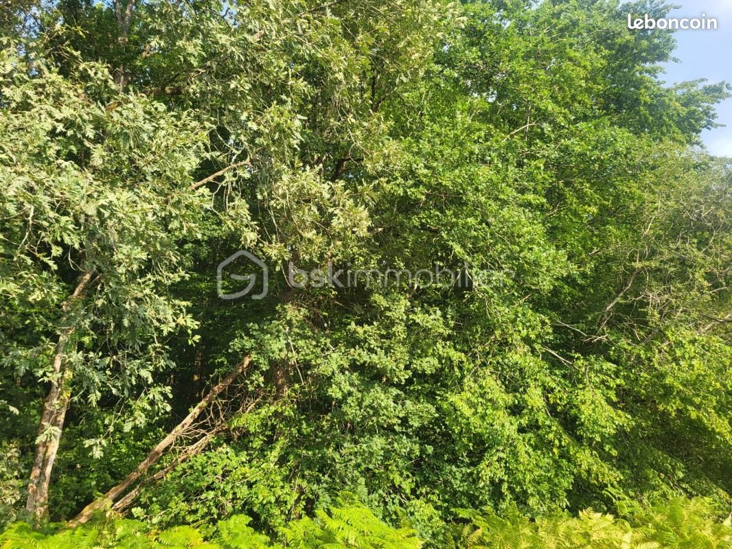 Terrain agricole 2 160 m² Queyssac · 12 500 €