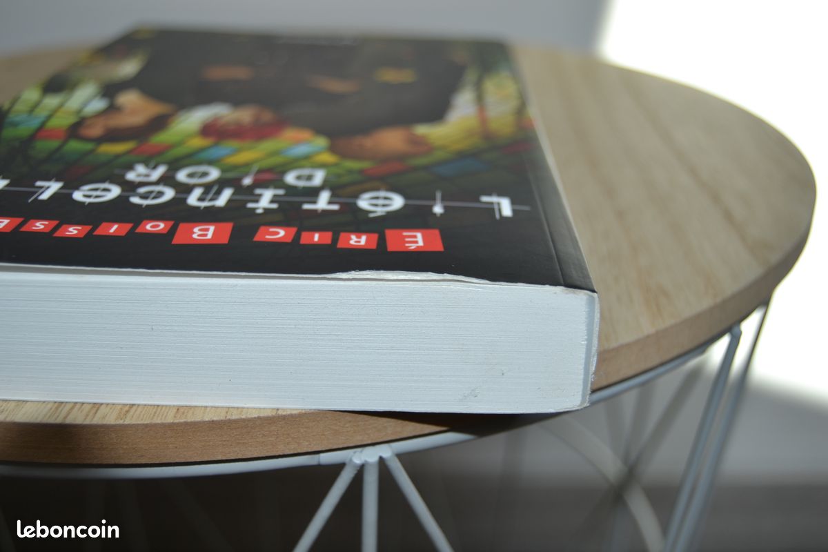 Livre L'étincelle d'or (image 5)