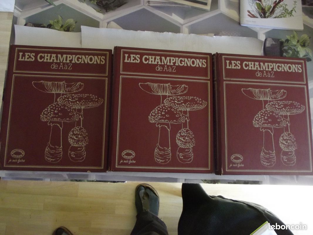 Livre les champignons de AàZ 3 Vol (image 5)