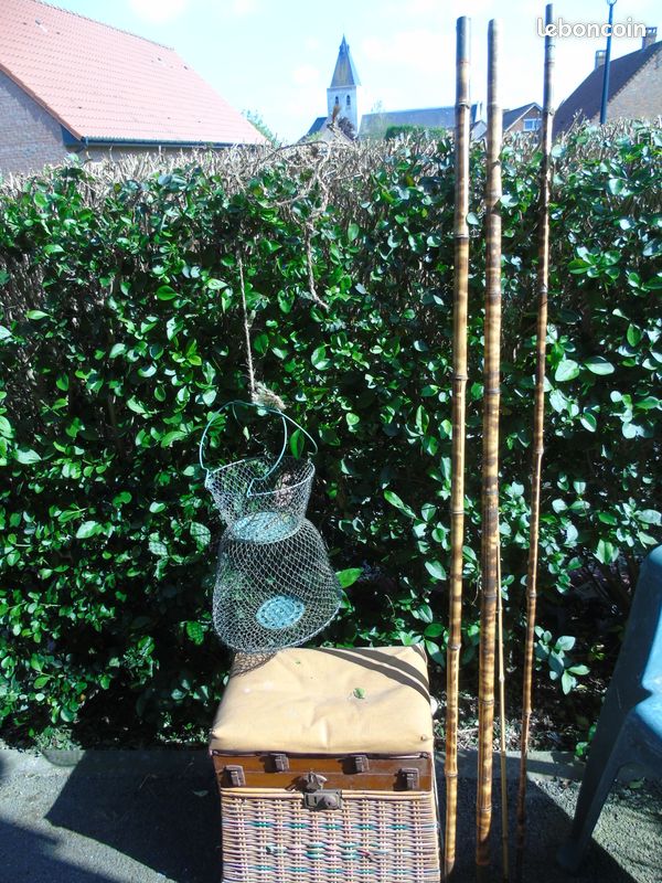 Collection (image 1)