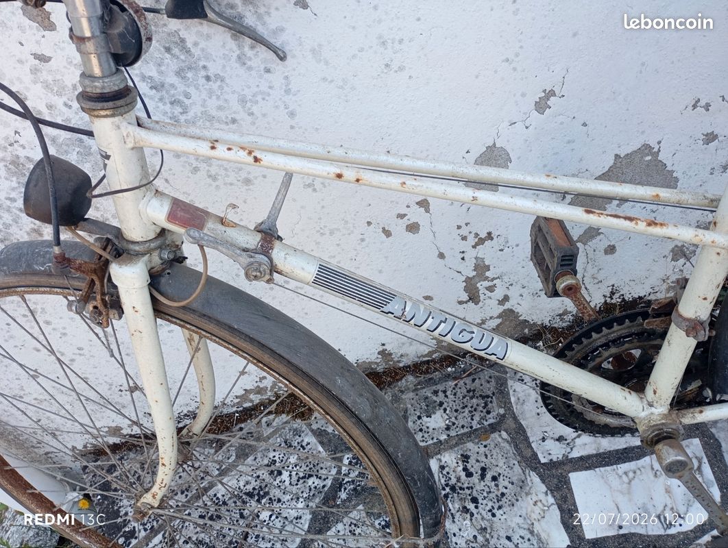 Vélo adulte Antigua (image 2)