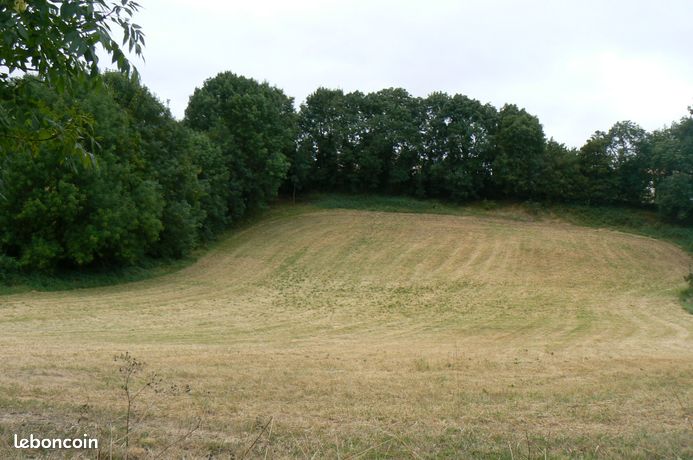 Terrain constructible