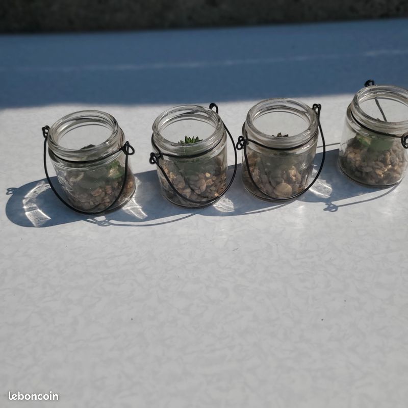 Pots de petites plantes miniatures en plastique (image 1)