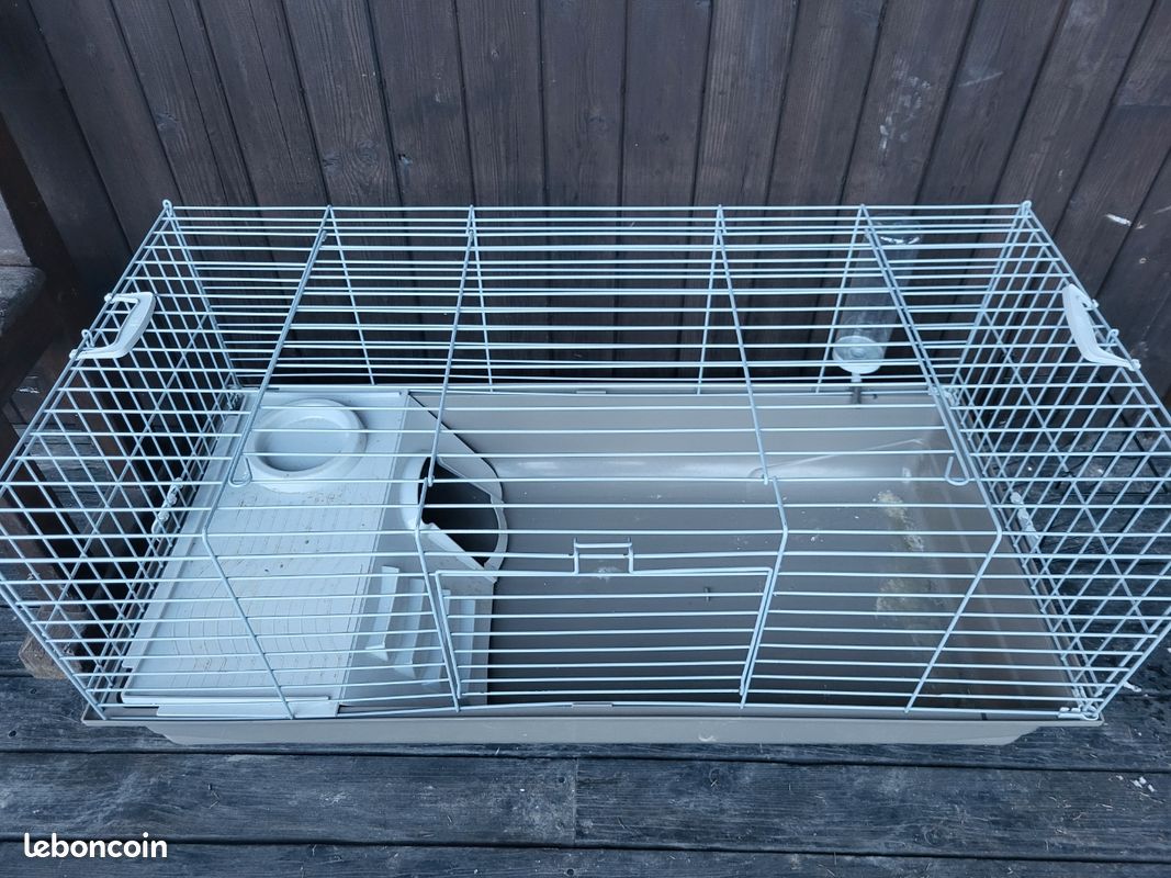 Grande cage cochon d'inde quasi neuve (image 2)