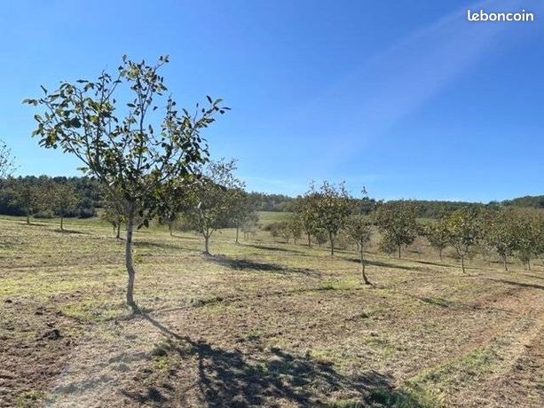 Terrain 3 593 m² Saint Cybranet