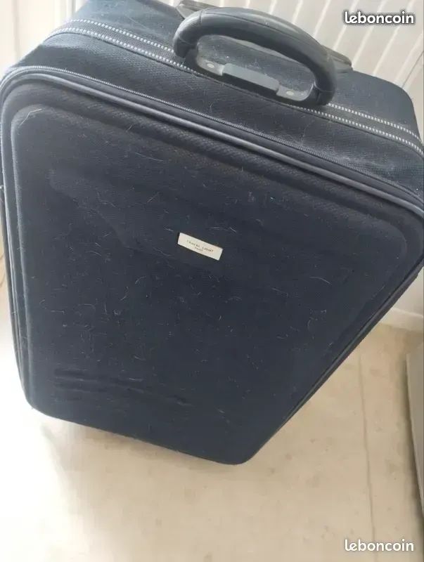 Grande Valise (image 1)