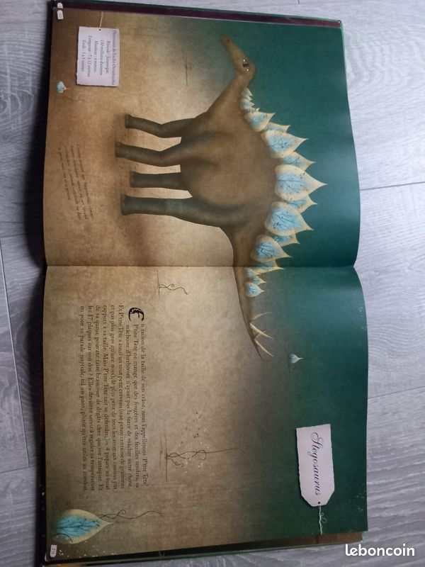 Lot livres sur les dinosaures (image 14)