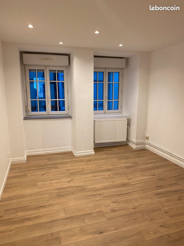 Appartement a louer strasbourg - 2 pièce(s) - 45 m2 - Surfyn