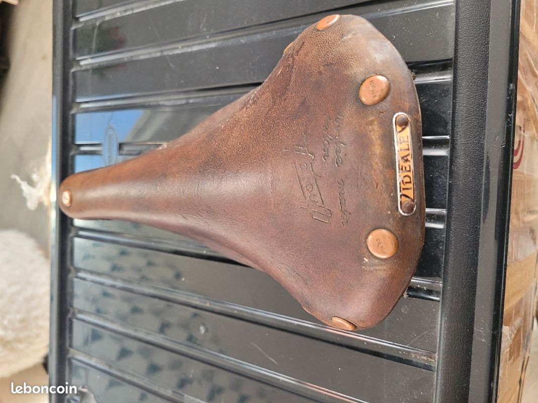 Selle (image 2)