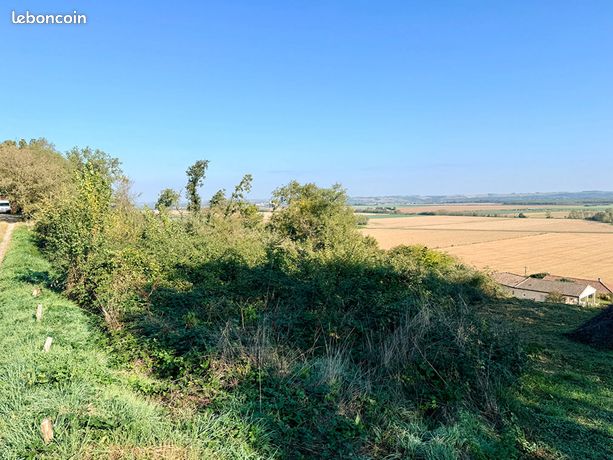 Terrain 5365 m² CANTE