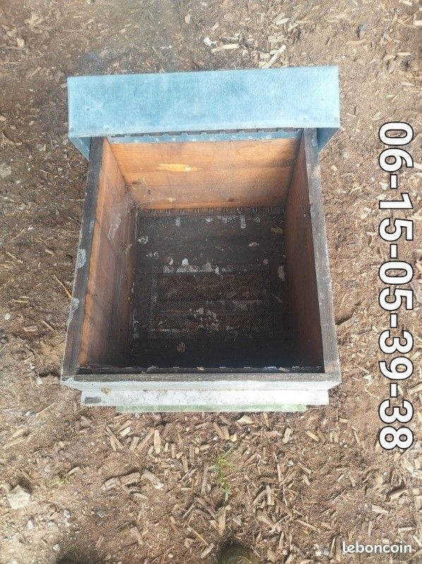 Ruche abeille dadant (image 3)
