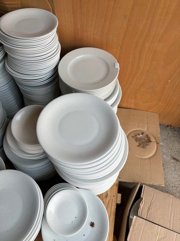 Lot de 12 assiettes plates en porcelaine véritable - 200 mm