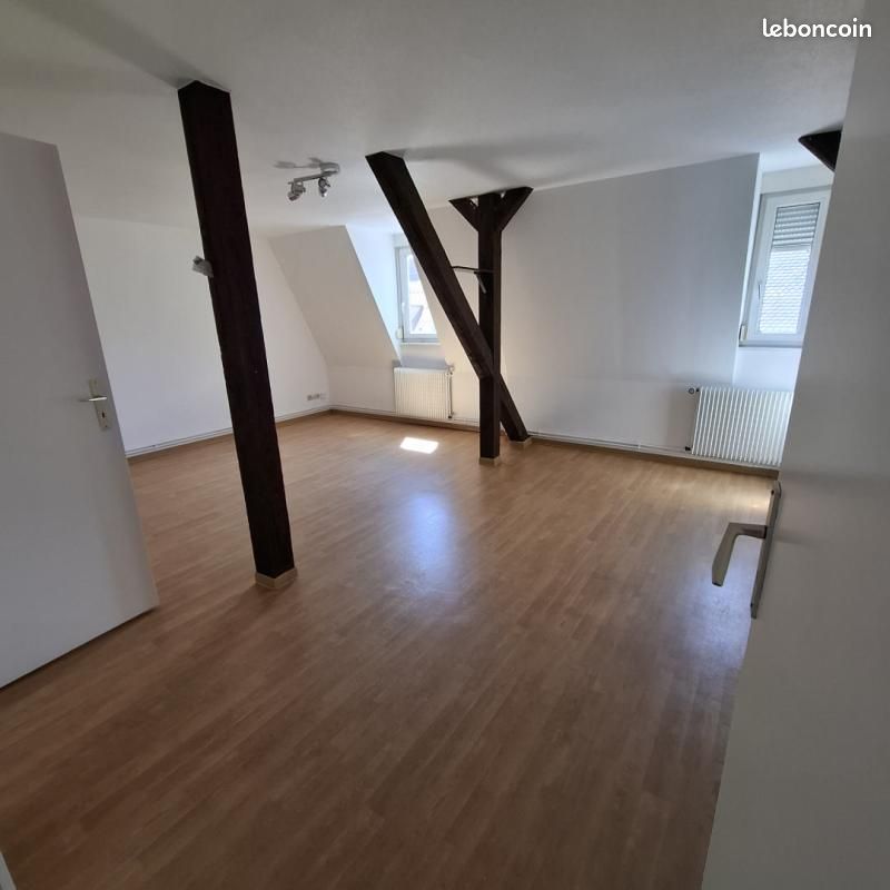 Appartement 2 pièces 55 m² · à Strasbourg · 55 m² · 830 €/mois