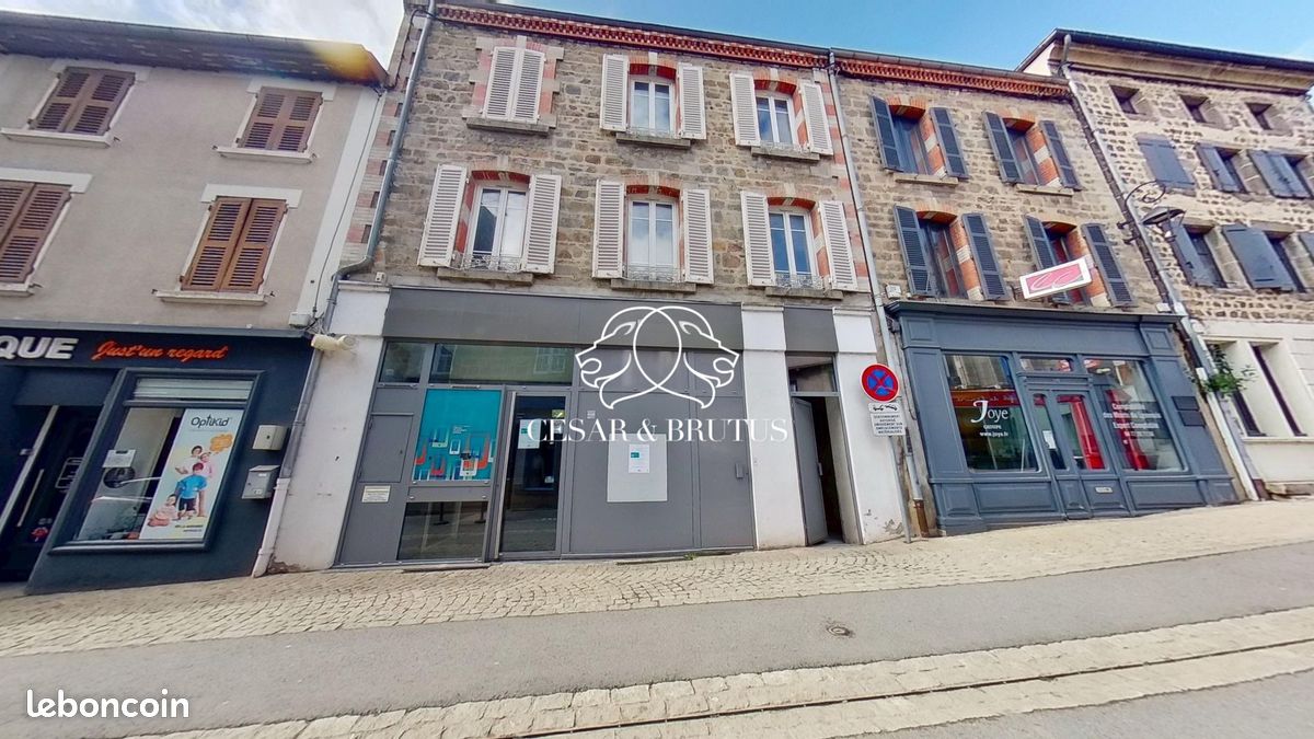 Immeuble 390 m² · à Panissières · 390 m² · 133 500 €