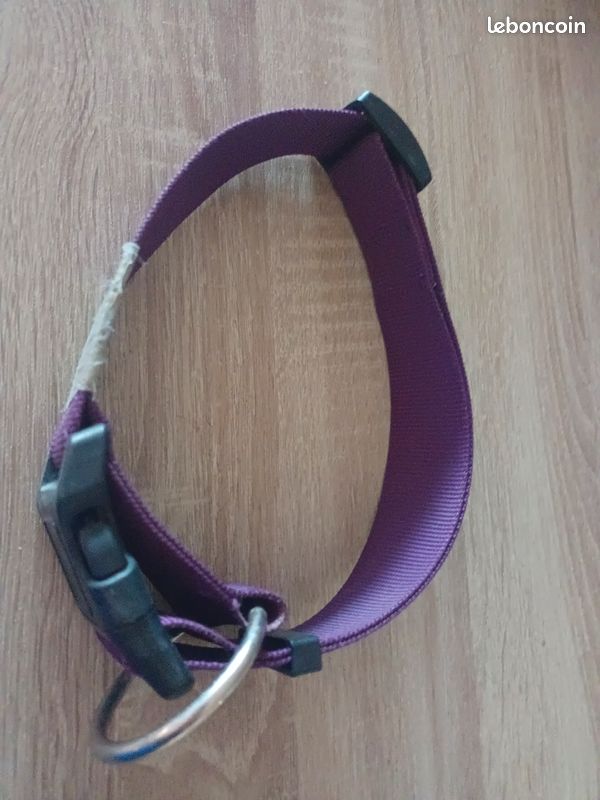 Collier violet épais chien (image 2)