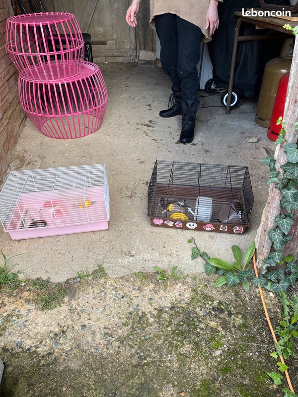 Cage rongeurs (image 1)