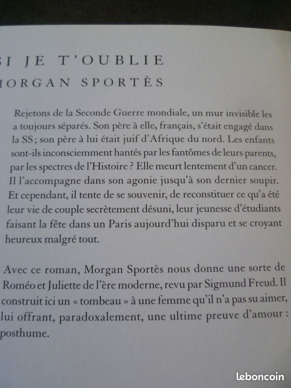 Livre récent : "Si je t'oublie" de Morgan Sportès (image 2)