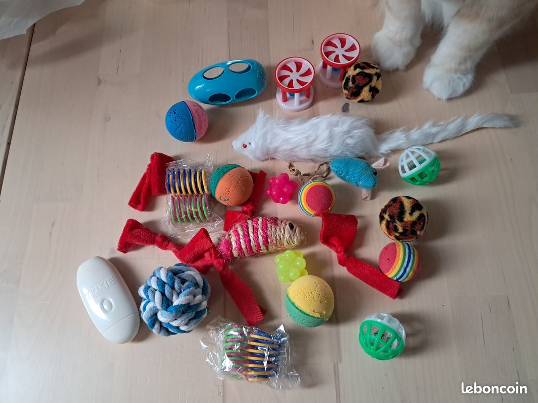 Lot jouets chat (image 1)