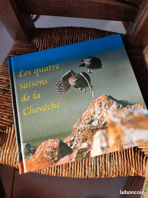 Les quatre saisons de la chevêche Bernard Bertrand (image 1)