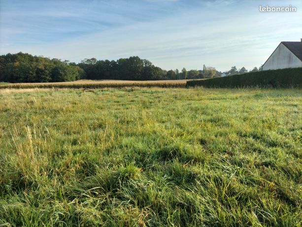 Terrain 1647 m² Sens
