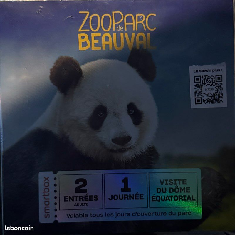 Zoo de Beauval : Le film Ecole Sainte Marie Pie X