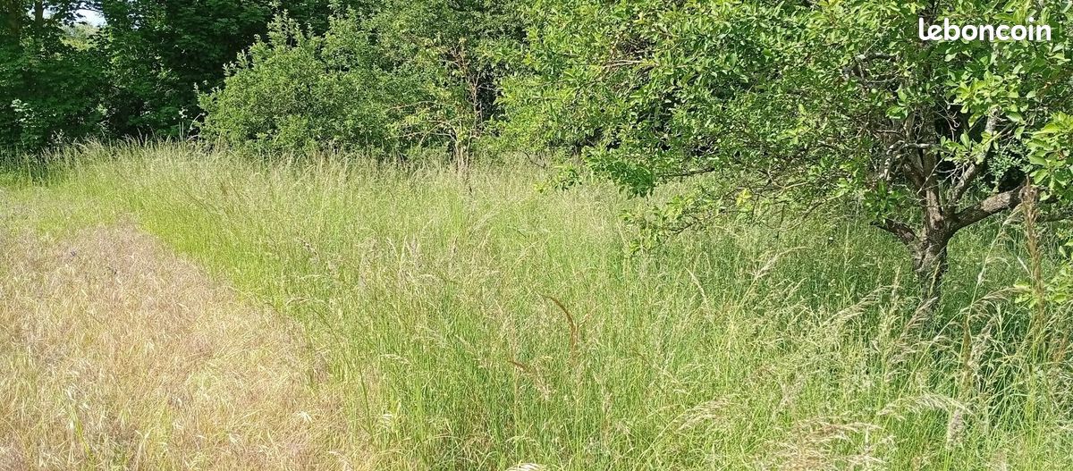 Terrain 2 200 m² Bucy Le Long · à Bucy-le-Long · 50 000 €