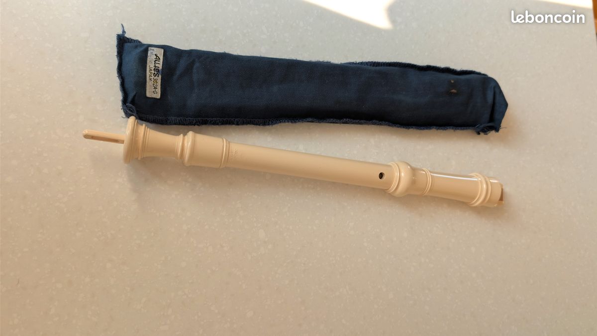 Flute à bec (image 1)