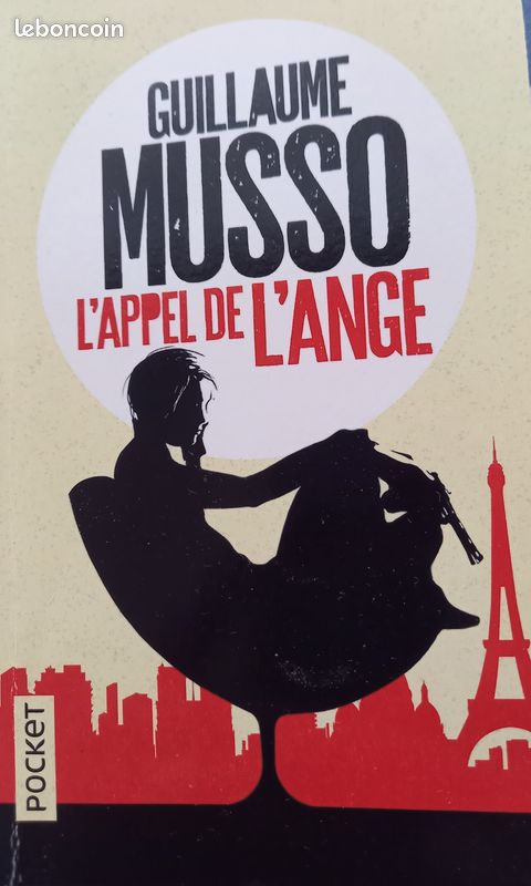 Guillaume Musso (image 4)