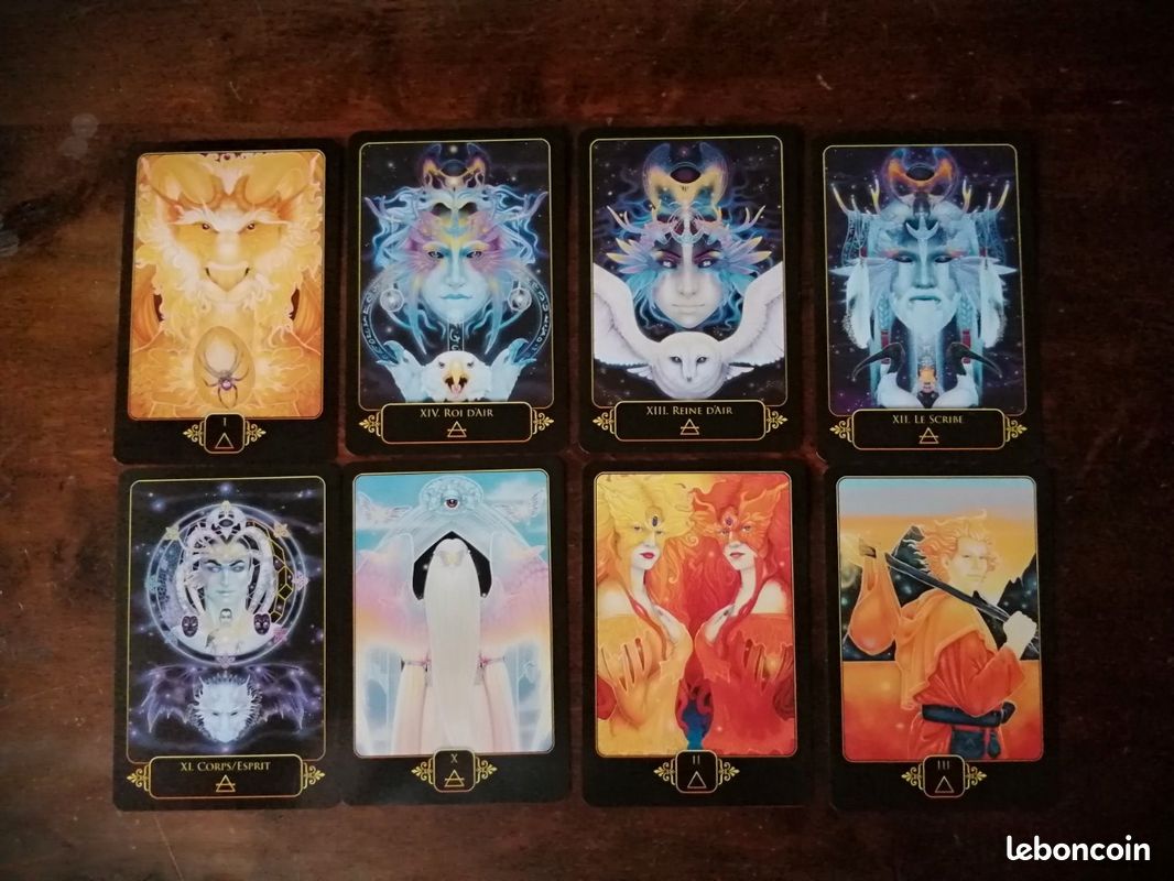 Le tarot des rêves de Gaïa (de Ravynne Phelan)- relié et illustré (image 14)