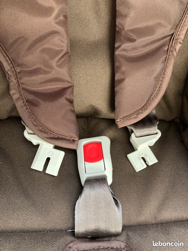 Cosy Gracco Junior (image 6)