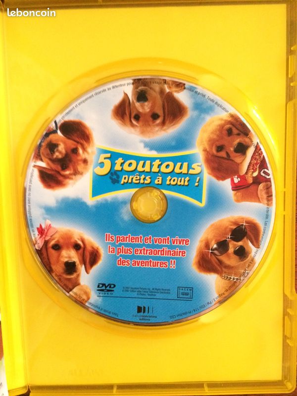 DVD 5 toutous prêt a tout (image 2)