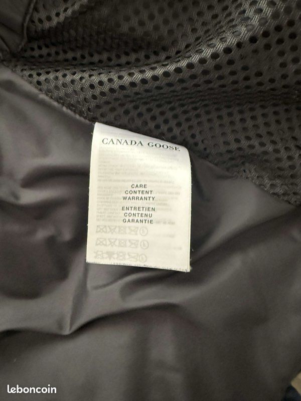 Canada Goose (image 6)