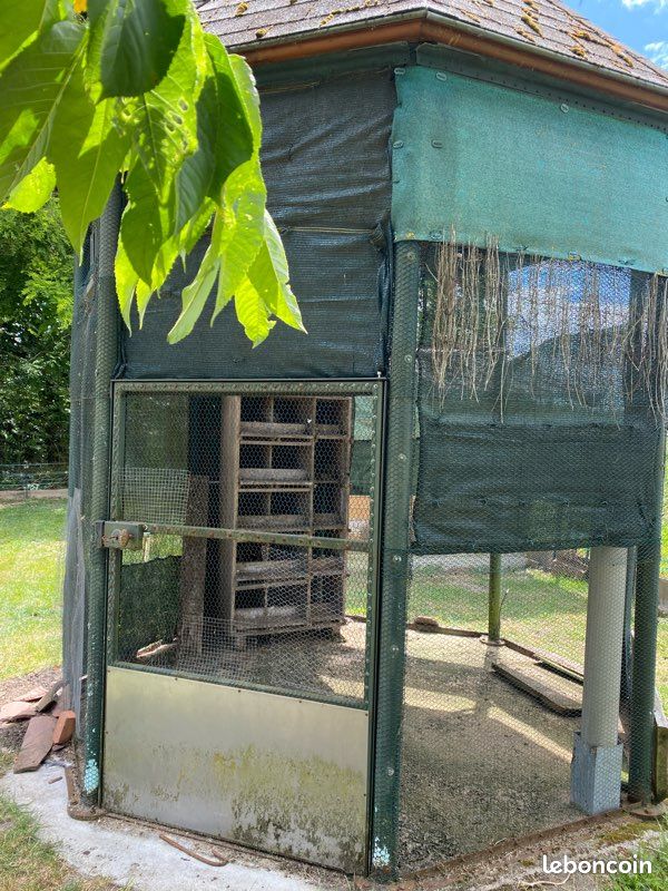 Pigeonnier en fer forgé (image 2)