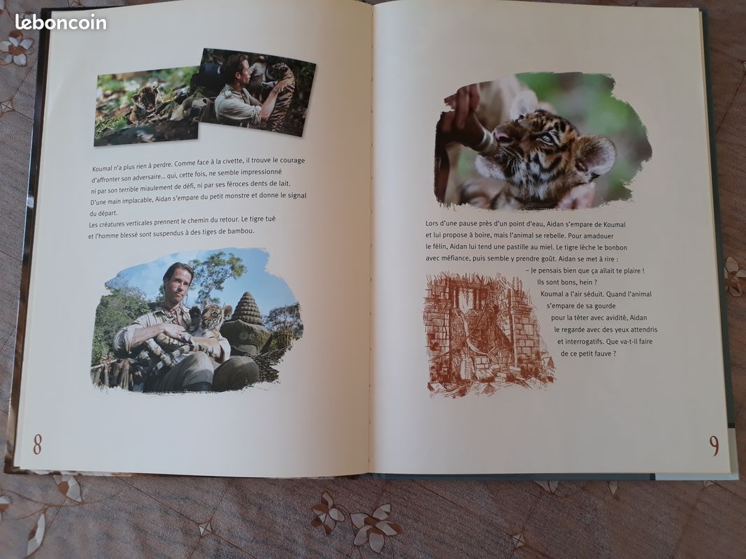 Livre enfant deux frères (image 2)