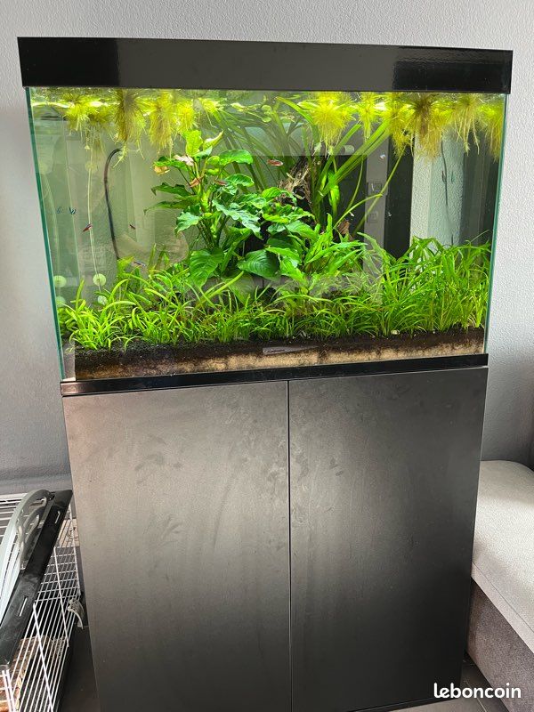 Aquarium Ciano pro 100 de 201 litres (image 1)