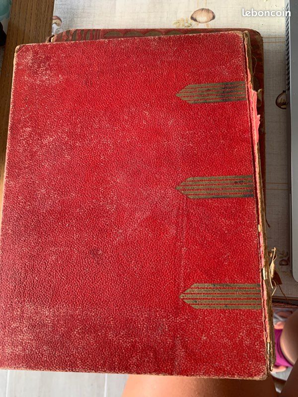 Livre rare HISTOIRE DE LA FAMILLE CHESTER (image 3)
