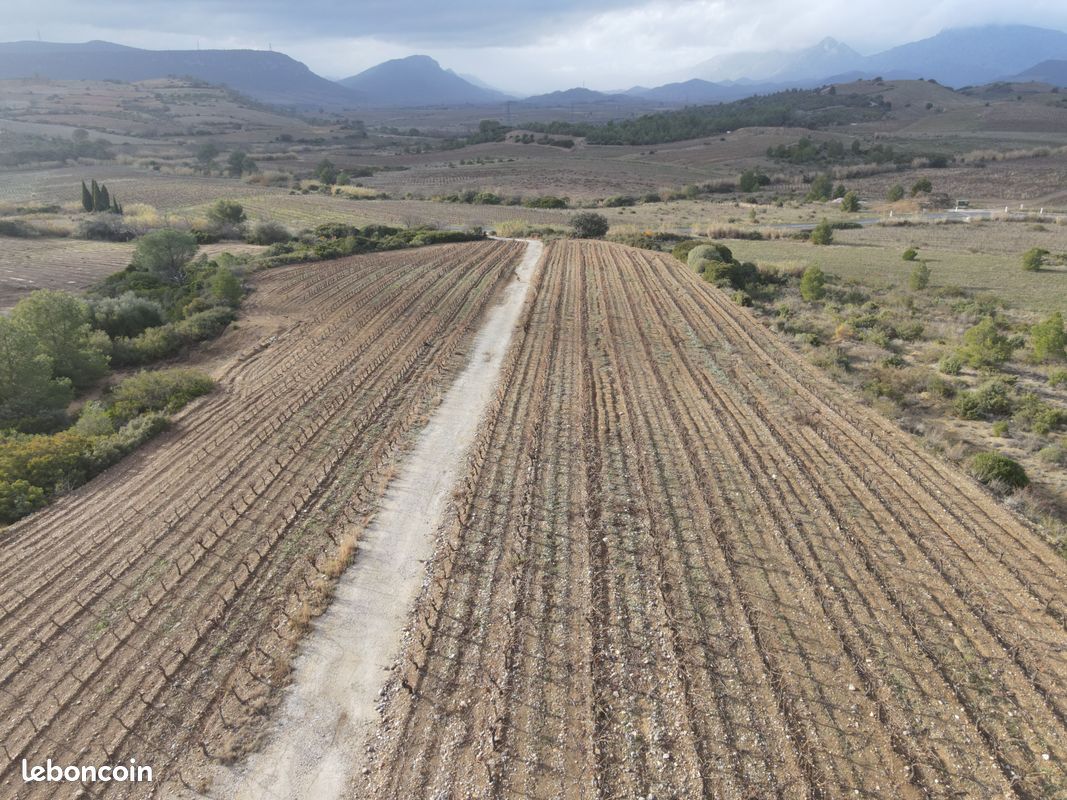 Location de terrains pour activités agricoles · à Tautavel · 1 050 €/mois