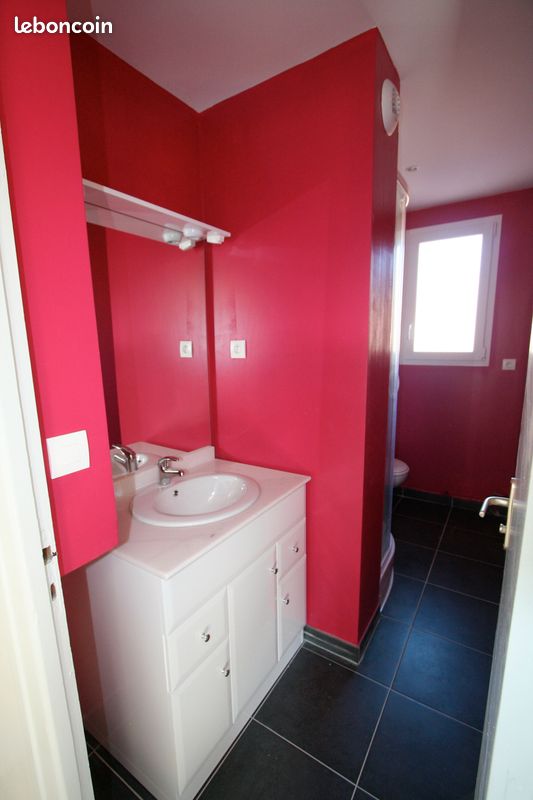 Joli petit T3 ensoleillé très équipé - Le Palais-sur-Vienne 87410 (image 3)